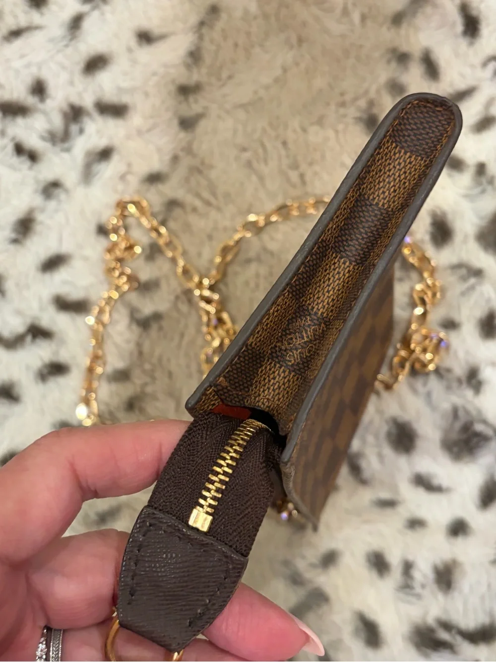 Louis Vuitton Damier Ebene Pouch